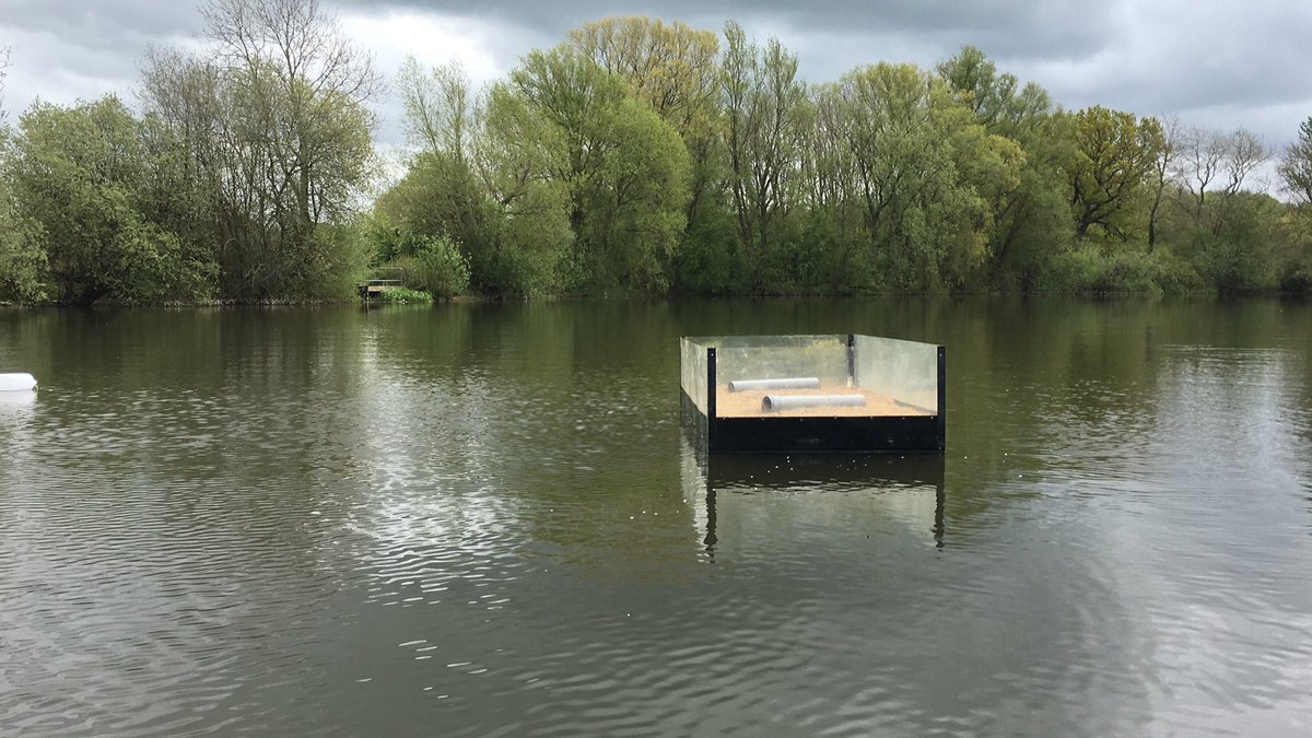 Harrold-Odell Country Park tweet media