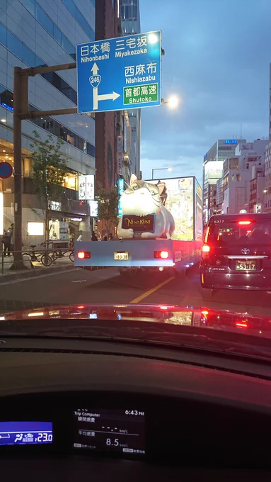 何か走ってた!(*'-`)ハッケン 