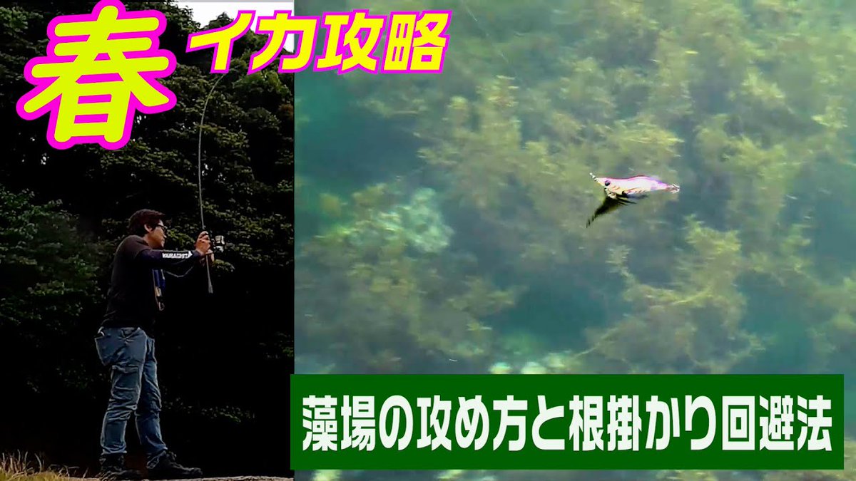 竹本保幸 今回は春イカエギングの強敵 藻場の攻略 根がかり回避の為何をやるかどう攻めるか詳しくは動画をご覧ください T Co Oarxnpbbs5 釣り好きタケちゃんネル エギング 春イカ エギング動画 Yamashita エギ王 エギング攻略 イカ