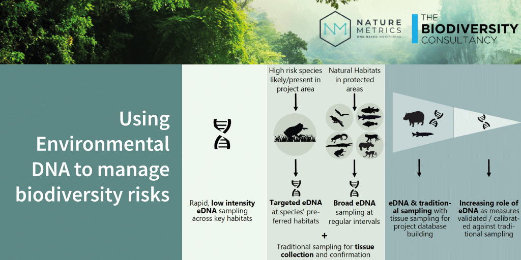 NatureMetrics's tweet photo. NEW RELEASE: Our industry briefing note with @TBCbiodiversity provides practical advice for using eDNA to manage and mitigate biodiversity impacts. What stands out in this IBN for your industry?

Read the full story below:
https://t.co/5eqbmw1C01 https://t.co/miu3QsHqZe