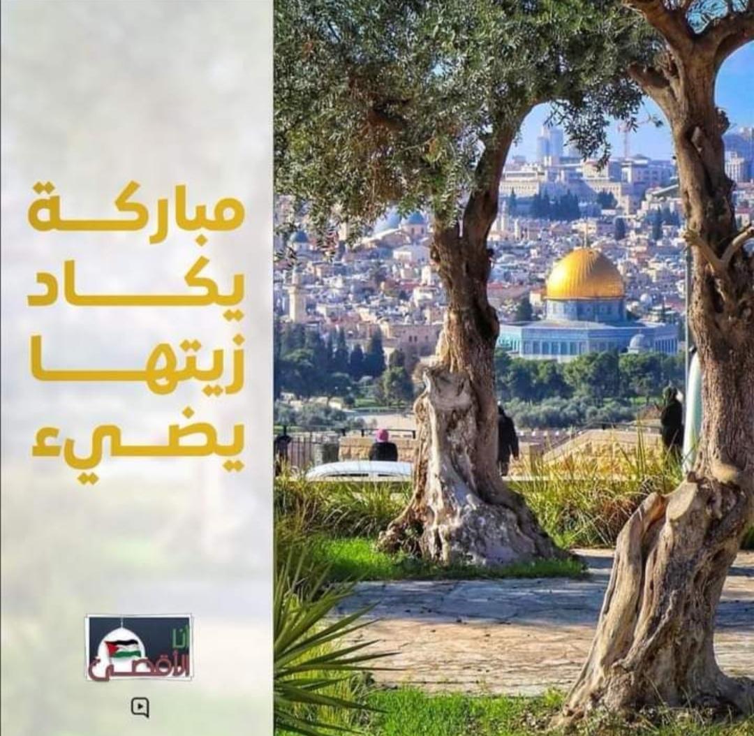 `

إن لهذه الأُمة جذوراً  أعمق من أن تُستأصل ..

وسيعود للأمة مجدها ، إِنما هِي سنن الله فِي أَرضه ..

- إنّ مَـا تـُوعَـدْون لَآتٍ