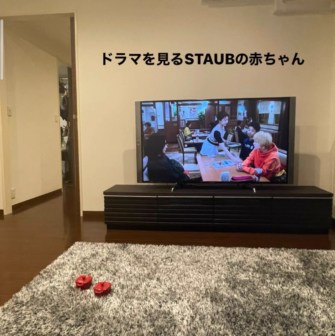 鍋と勘違いしてオーダーしたストウブのお皿が、段々と愛情が湧いてきてるｗｗ