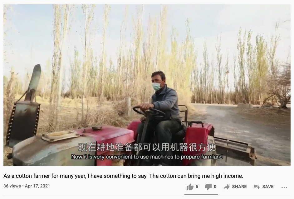 2) They then go on to praise the mechanization of cotton harvesting in Xinjiang, claiming the cotton was now picked very efficiently.