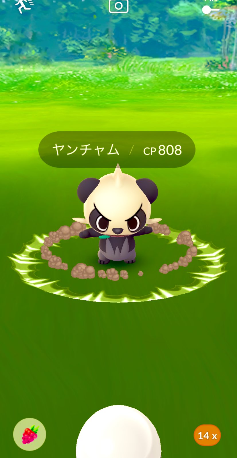 Eririn ポケgo ヤンチャム かわいーー ニョロモ100まってました ニョロトノかニョロボンかどっちなは進化させるかメチャクチャ悩む ポケモンgo T Co Thbxenienk Twitter