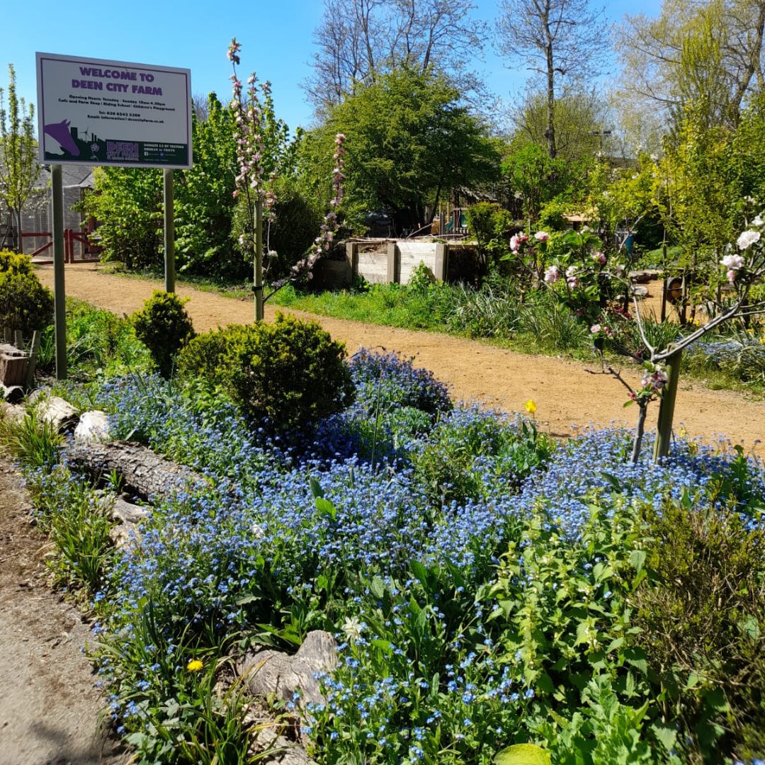 Volunteers needed ⭐ @deencityfarm is looking for enthusiastic volunteer gardeners to help take care of their beautiful garden spaces & assist with a new community growing project 🌼🌱 #ConnectWithNature

Please contact Emma for further information 📧 manager@deencityfarm.co.uk