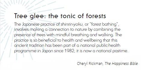 Treeglee's tweet image. The tonic of forests #treeglee #Forestbathing or #ShinrinYoku is so powerful. I&apos;ll be posting evidence all week. Please follow &amp;amp; RT to spread the message about the healing power of #nature #ConnectWithNature #MentalHealthAwarenessWeek2021 @mentalhealth @markrowland77
