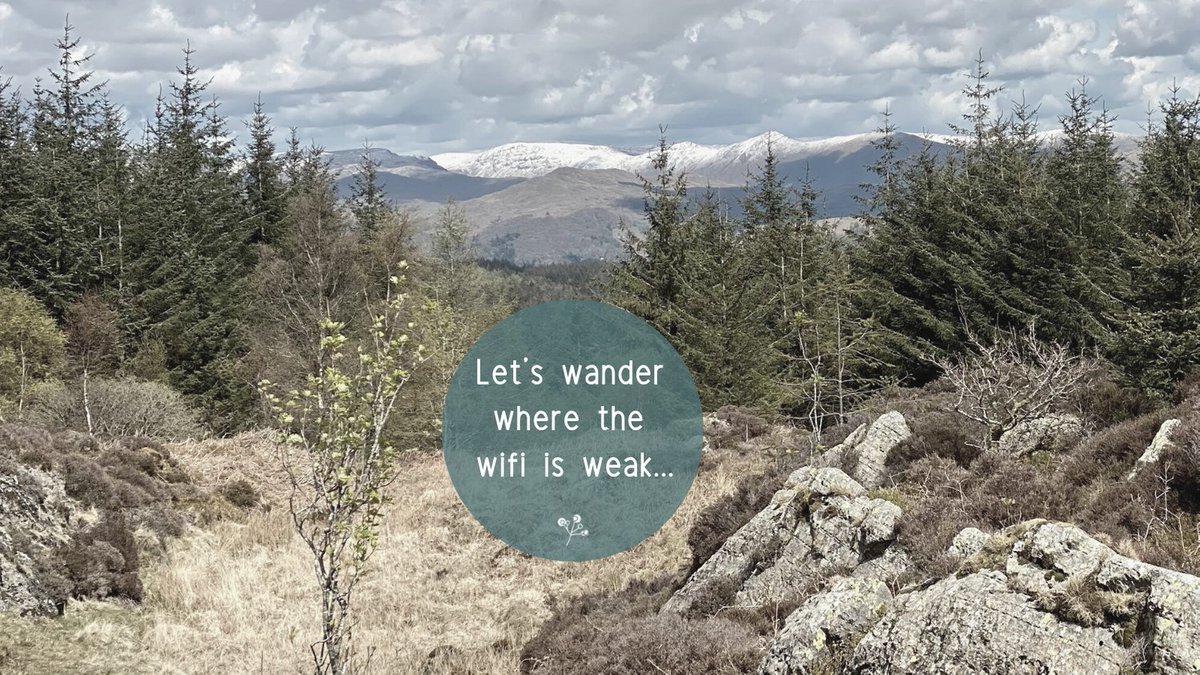 Cempta Charity Solutions tweet media