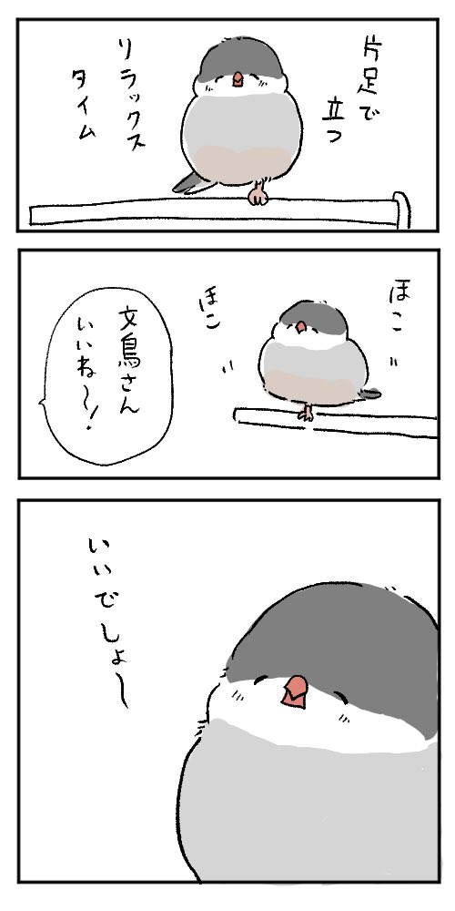 文鳥さん、今日も幸せそうでした。 