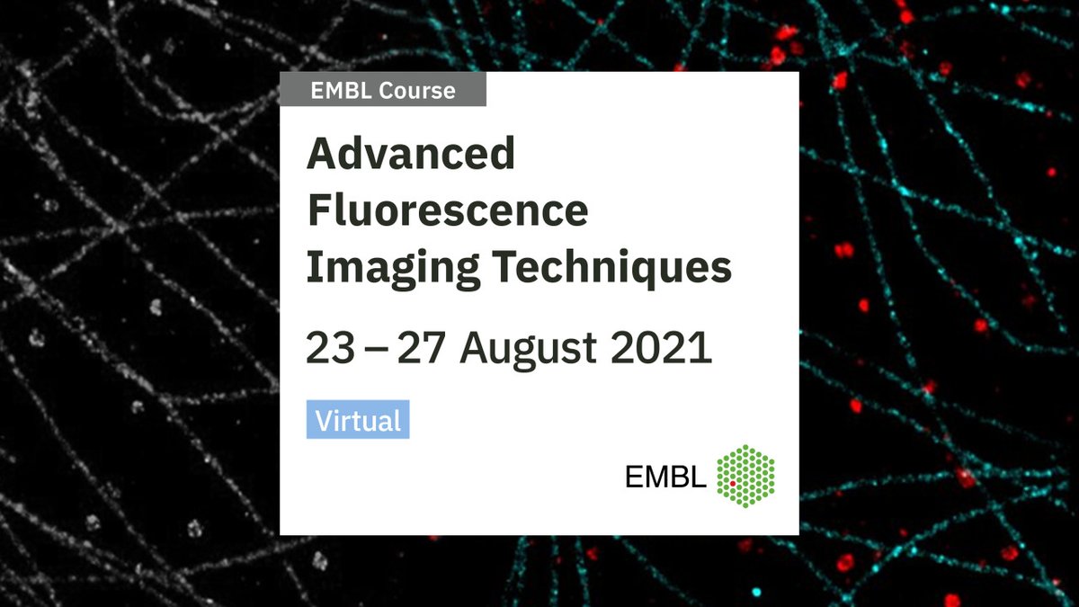 Do you want to learn to derive qualitative and quantitative insights on molecular mechanisms in cells and developing organisms? Then join this course on advanced light microscopy techniques! #EMBLFluorImaging

📩 Apply by 7 June

Learn more:
s.embl.org/mic21-02