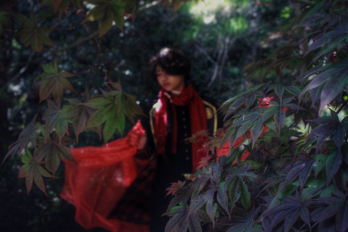 Cosplay

清/光･･･けいちゃん
撮影･･･ちる