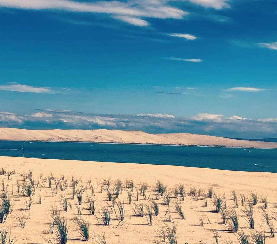 Oui oui vous êtes bien sur le Bassin d’Arcachon 🤩
📷 @michoflo1002
・・・
#bassindarcachon #legecapferret #capferret #pointeducapferret #dunedupilat #dunedupilat🇫🇷 #ocean #oceanatlantique #mer #bassinarcachon