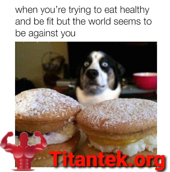 TitantekS's tweet photo. https://t.co/cTuOckAmV8 
#gym #gymmotivation #Gymshark #gymaddict #gymrat #gymlove #gymlifestyle #gymmemes #gymnastics #fitnessaddict #FITNESS #FitnessMotivation #fitnessgirl #fitnessmodels #fitnessmemes #bodybuildingmotivation #bodybuilder #bodybuildinglifestyle #supportlocal https://t.co/FWBvi2h9yd