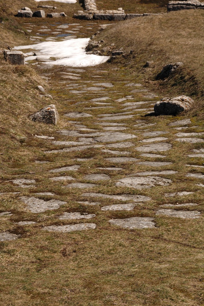 pompei79's tweet photo. @raylaurence1 @emlynkd @stephenjohnkay @the_bsr @oxfordclassics @univUda When I went to see the #roadporn in Iuvanum it looked liked this... https://t.co/mNuYTJnT9S