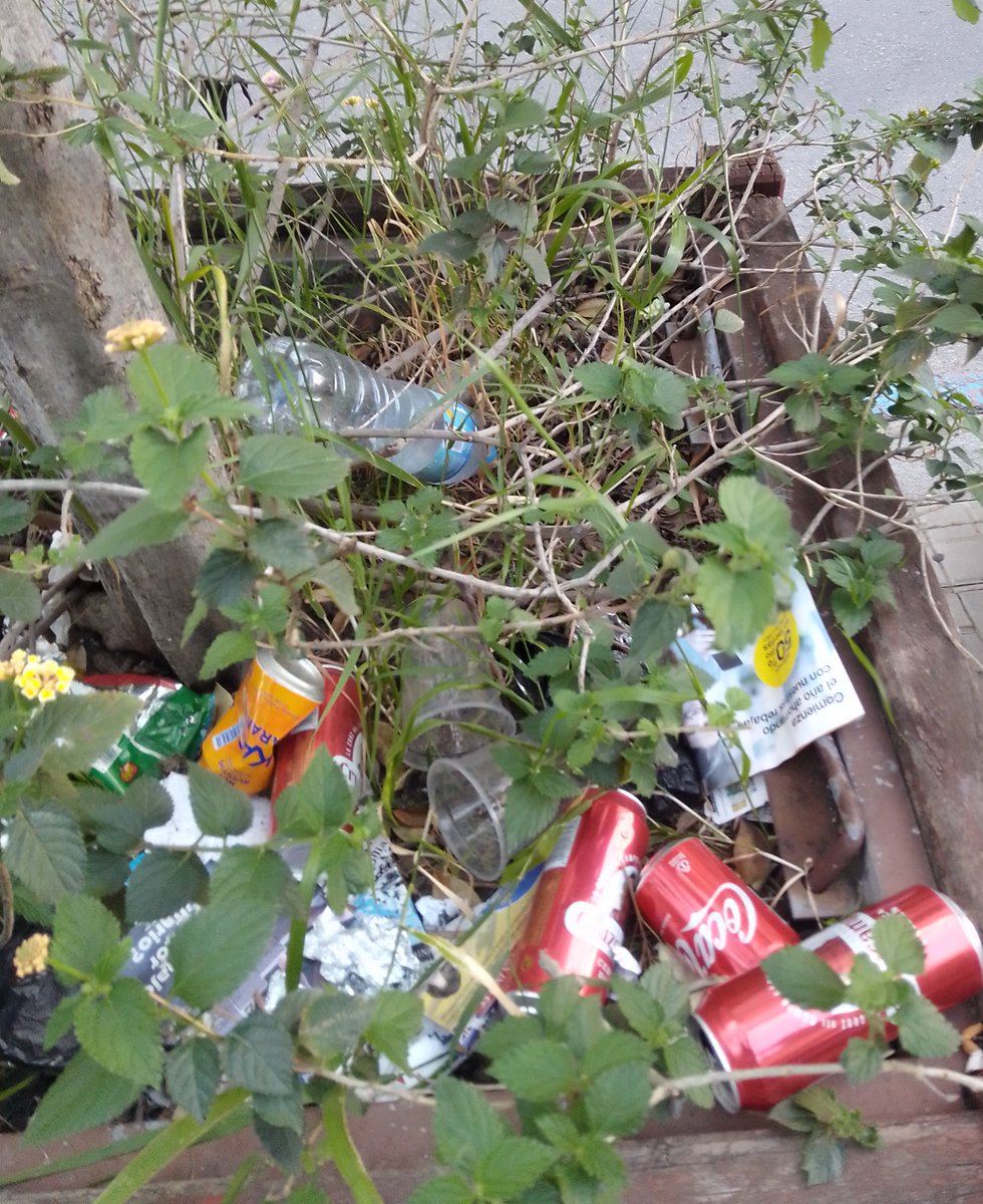 SOSterritorios's tweet photo. 🆘#Macetones C/ Barrau #Sevilla

Se secan los #Árboles por falta de riego y además los convierten en papeleras y vertederos.
@Ayto_Sevilla hace algo al respecto⁉️

Una vez más vemos agonizar y morir a más #ÁrbolesUrbanos.
@LipasamSevilla y #ParquesYJardines están a verlas venir‼️ https://t.co/4zVYhzipBH