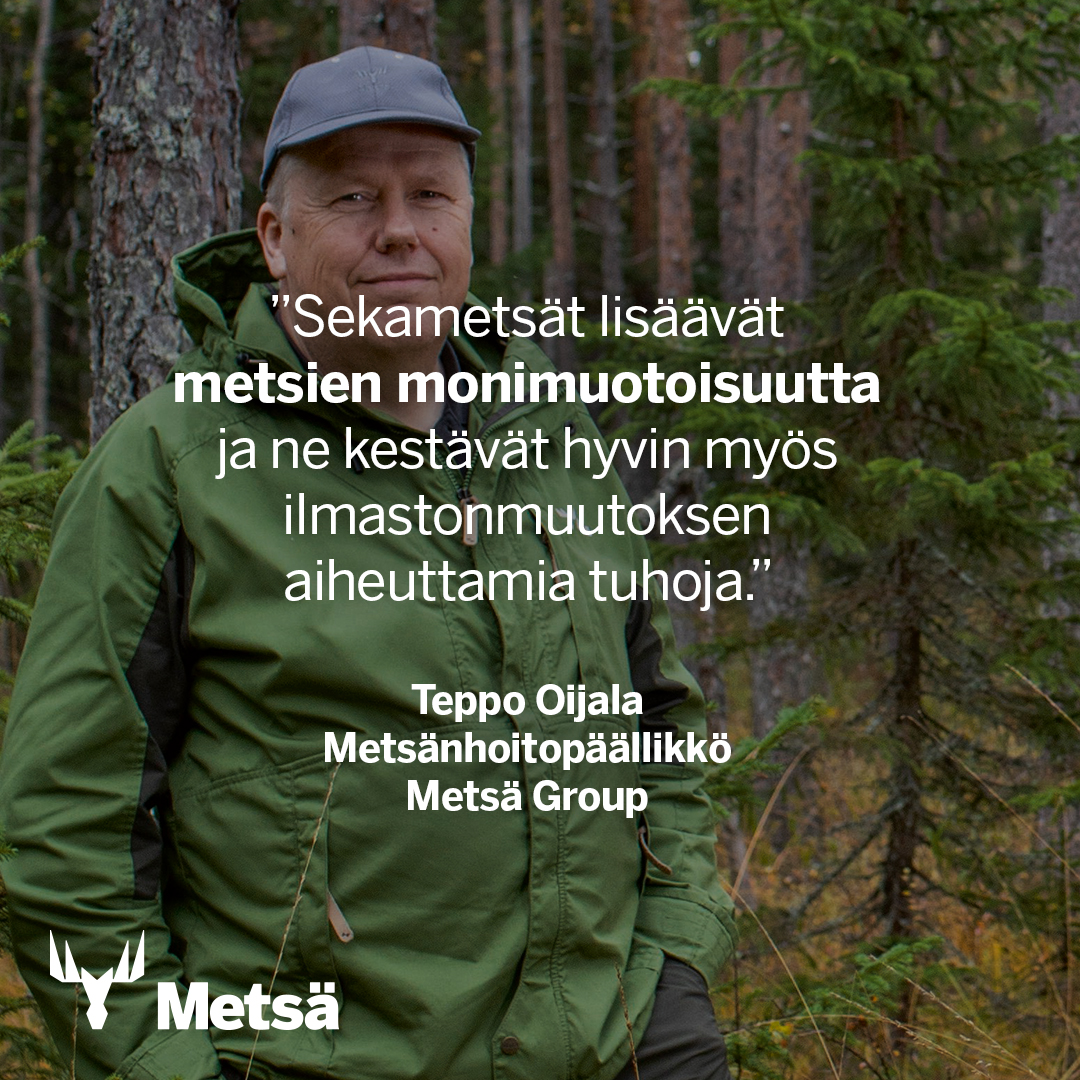 Metsä Group on Twitter: "Sekametsät ovat yhden puulajin metsiä ...