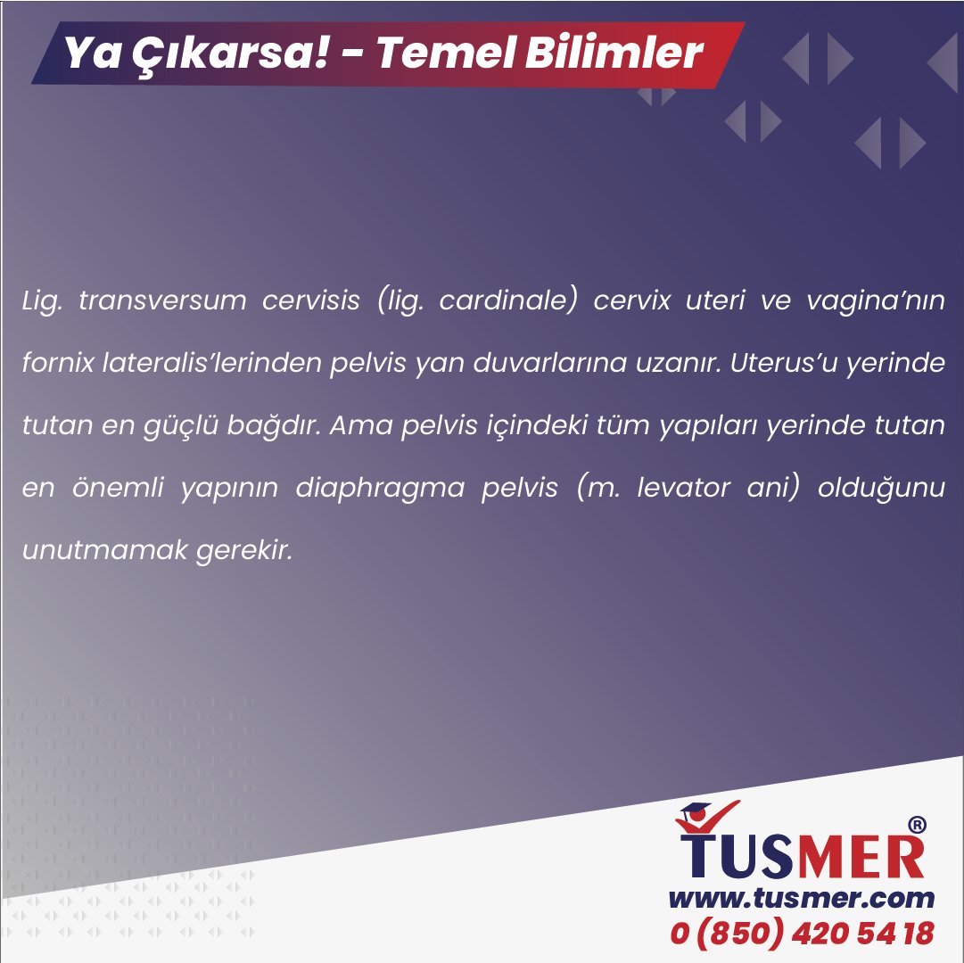 Ya çıkarsa! - Temel Bilimler 📚 #tus #tusonline #tıptauzmanlıksınavı #tıptauzmanlık #tıpöğrenci #tıpfakültesi #tusdershane #tusdersane #onlinetus #offlinetus #pratisyenhekimler #intern #interndoktor #tıpöğrencisi #tusiyer #tushazırlık #tusçalışma #tıpçı #tusmezun #tustercih