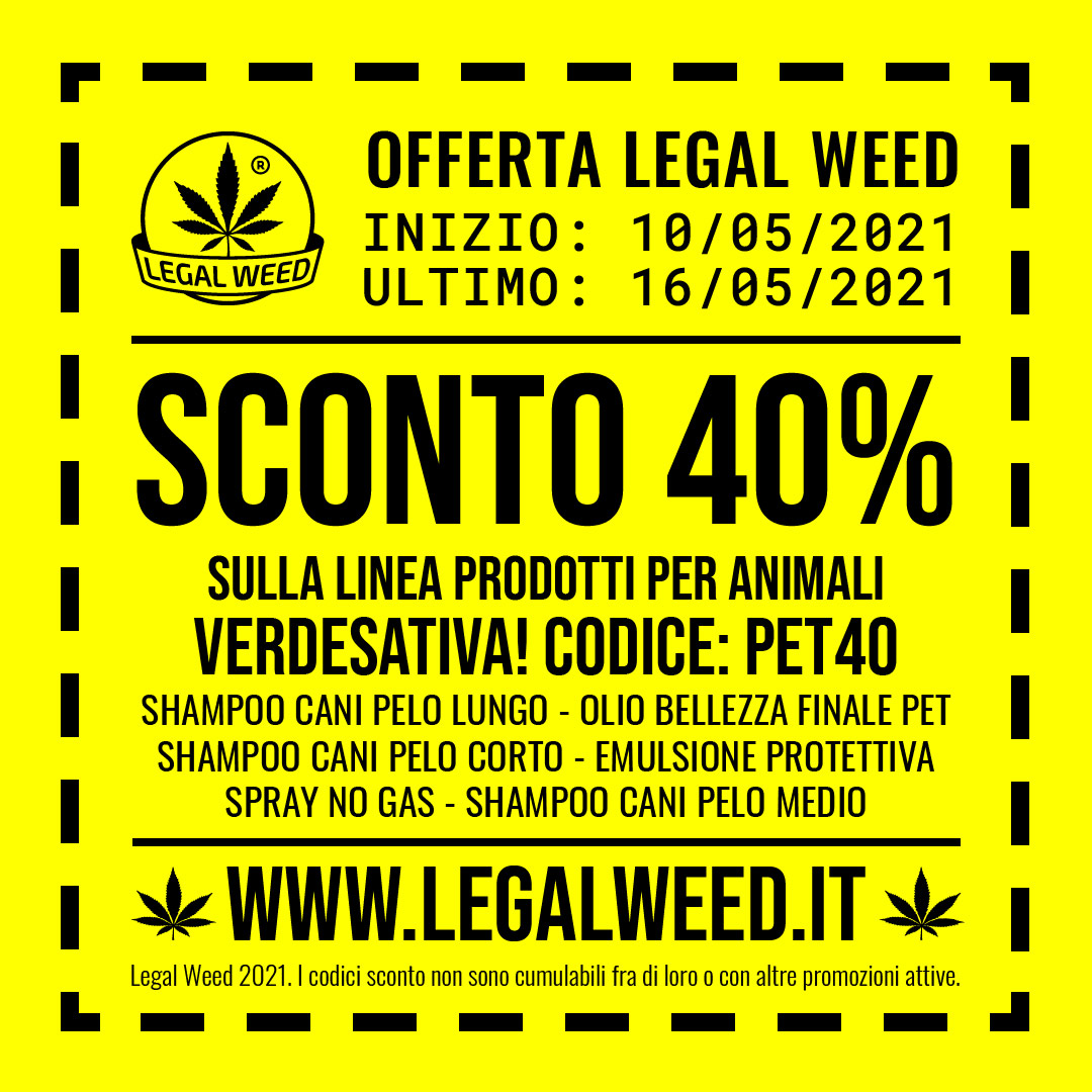 Legal Weed CBD Italy tweet media