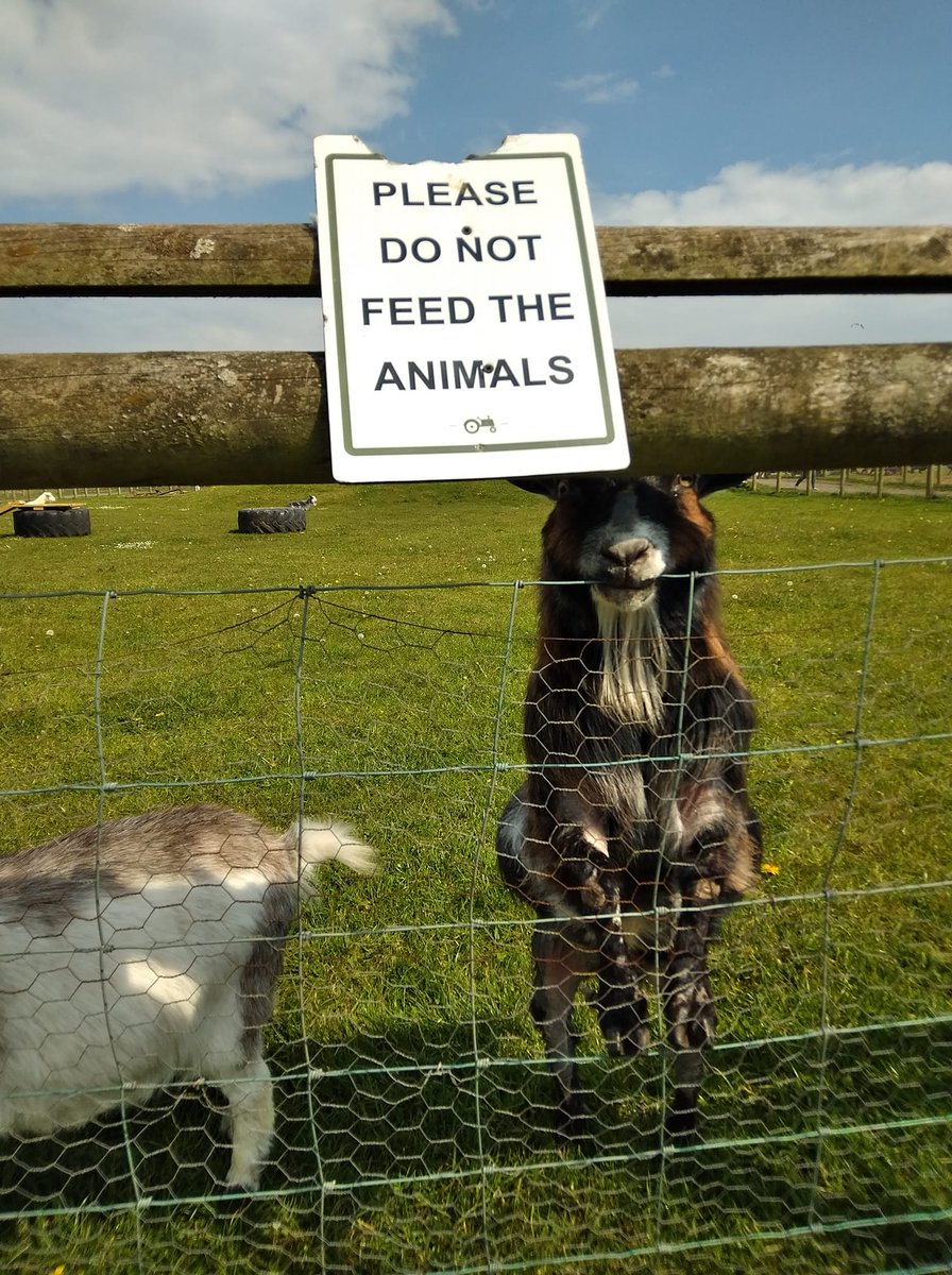 PinhoeLibrary's tweet image. #MentalHealthAwarenessWeek
From next Monday we will be posting a positive photo and hashtagging it #HappyMonday. Here are some things that have made me smile the last few weeks, 
Lee 
mentalhealth.org.uk/campaigns/ment…