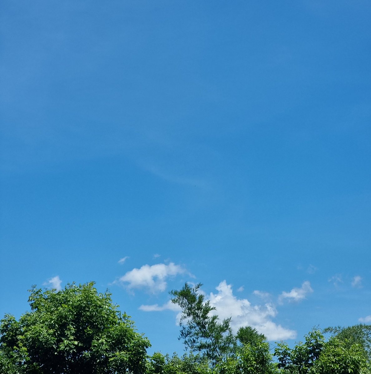 Can i talk to you? 🌻🌞