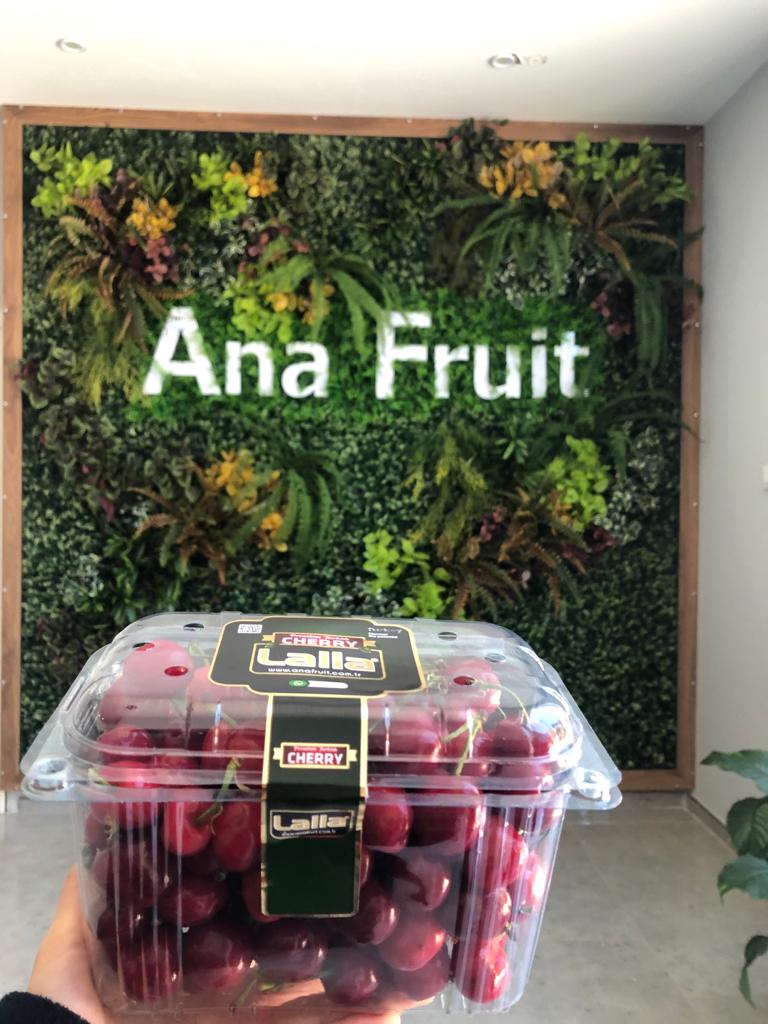 anafruitcompany's tweet photo. Oh la la! First cherries arrived home! 
#anafruit
#2021cherryseason
#cherry
#freshfruit
#freshproduce https://t.co/mwlYpXW5JU