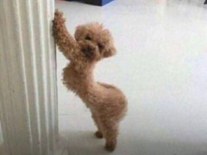 beautjay's tweet image. It's one o'clock!!! Me waiting at @PartnerMobileNG IG Live to see my Queen @EricaNlewedim like!!!

#PartnerMobileAtFive
#PartnerWithErica
ERICA AND PARTNER MOBILE
PARTNER MOBILE PRICE SLASH
#PartnermobileAt5