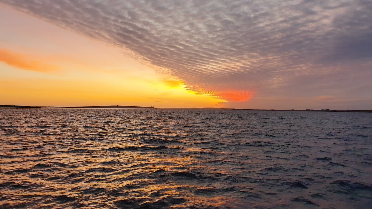 scotseafarms's tweet photo. ORKNEY VACANCIES | Just starting out on your career or looking for the next step up, we're adding to our Orkney team with both trainee and experienced fish husbandry roles available https://t.co/miWXdYxkV6  Closes 21/05 Pic by fish husbandry colleague Brian #beautifulplacestowork https://t.co/0mnTM5fzOe