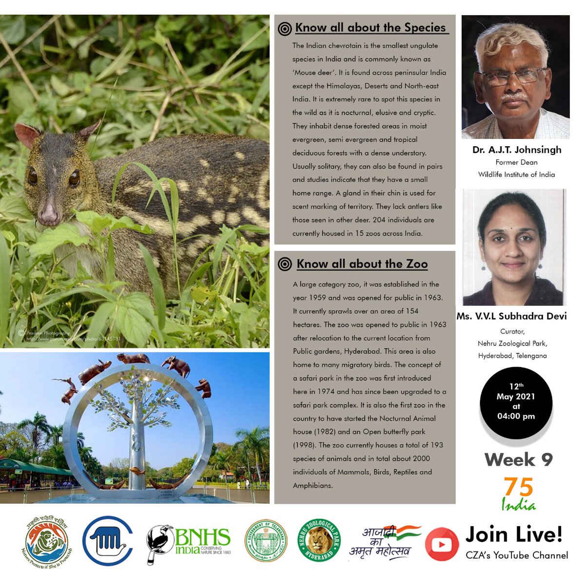 CZA_Delhi's tweet photo. Join in on our #Week_9 #Expert_Talk
"Know your species, Know your zoo' talk on the Indian Chevrotain & Nehru Zoological Park, Hyderabad with Dr A.J.T Johnsingh and Ms V.V.L Subhadra Devi tomorrow at 4:00pm using the link below: https://t.co/O483dlP3rr
#amrit_mahotsav #indiaat75 https://t.co/JHLfm0P7WD