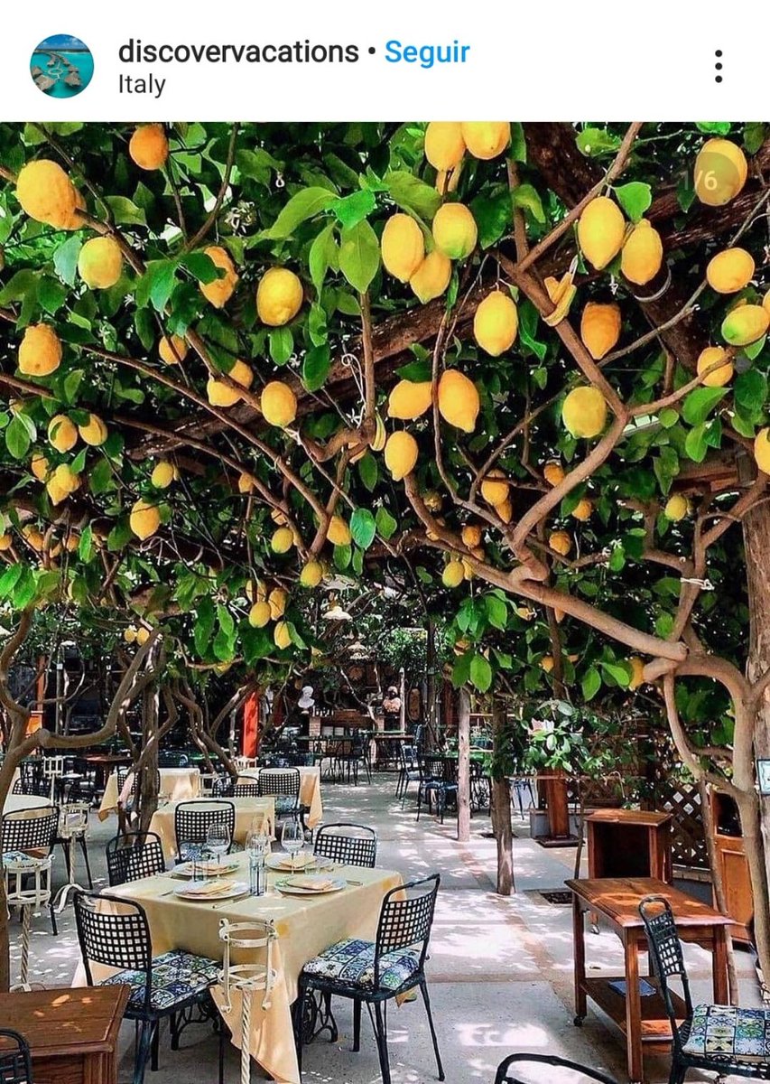 lapazfresh's tweet photo. Navegando por Instagram hemos encontrado estas preciosas imágenes...
Creemos que hemos visto el paraíso... ¿Qué opinas? 😉
#LemonWorld #Limones #Lemon #Cítricos https://t.co/iCWcmCuEdB