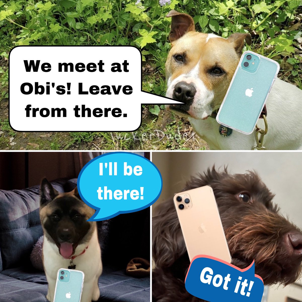 WonderWilbur's tweet photo. @AffieObi @miniaussiejax @elvisbulldoguk1 @CanadianPenny1 @AkitaHampton @FenwickCHO @SiriusWhite14 @PeytonReads @floatinginnh @TuckerDude1 @ZombieSquadHQ Phone tree activated! We all meet at dawn on Saturday! #SaveElvis
#ZZST
#TJ5ZombieSquad https://t.co/PEEIX7S6WD
