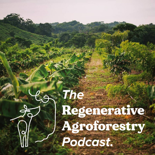 What does scaling agroforestry look like in practice? Find out in our newest episode as we talk with Oliver Hanke from 12Tree. 

LINK: regenerativeagroforestry.org/episodes/episo…

#agroforestry #regenerativeagriculture #agroecology