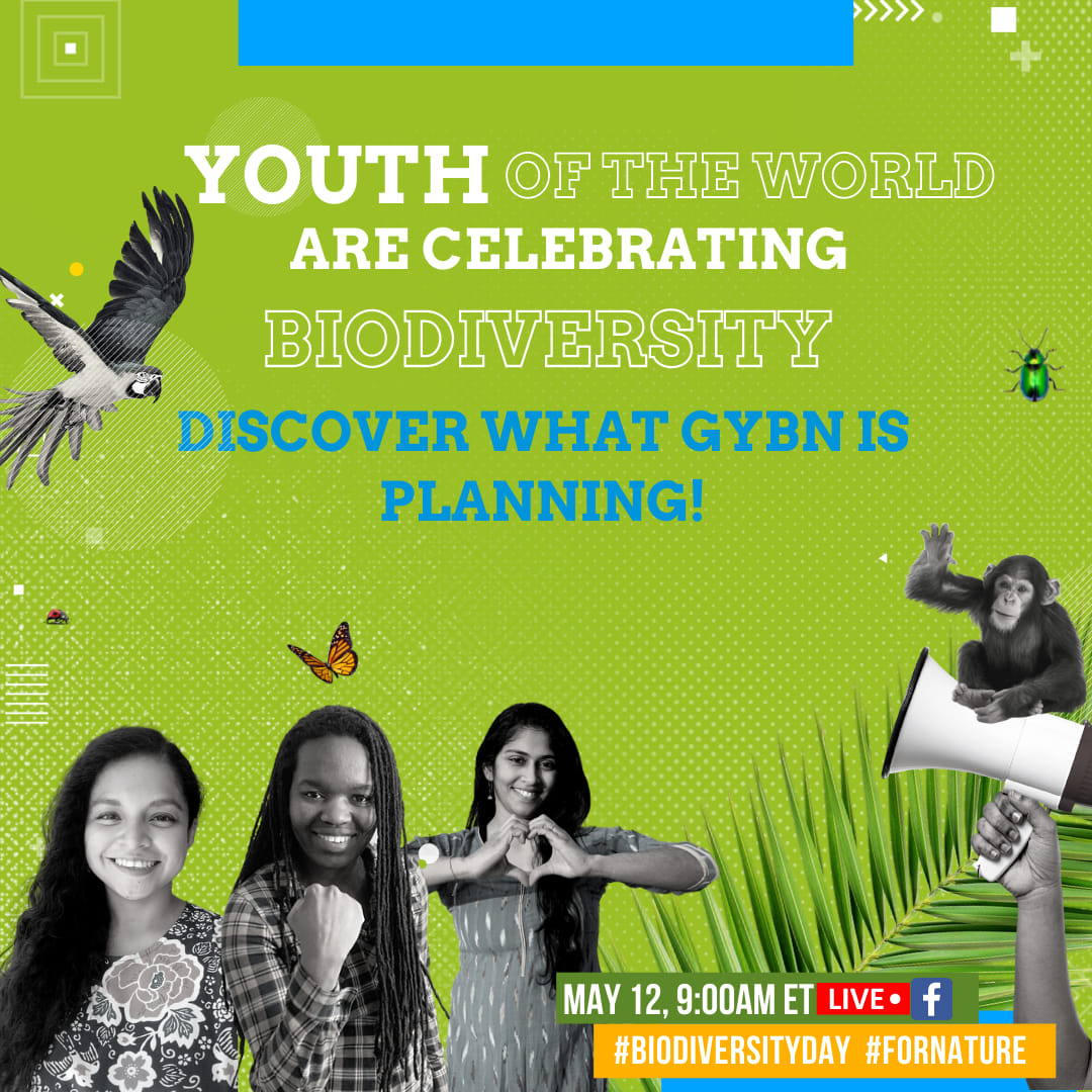 It's only 11 days until International Day for Biological Diversity. Join us LIVE on Facebook here ➡️facebook.com/thegybn
tomorrow, May 12 at 9:00 am ET, as we discuss our upcoming activities

#Youth4Biodiversity #BiodiversityDay
#BiodiversityNeedsYouTH #IDB2021 #IamGYBN

SHARE
