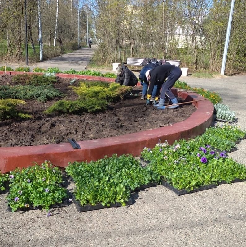 DubnaSergey's tweet photo. В весенне-летний сезон тысячи цветов украшают клумбы и вазоны на улицах и набережных, в парках и скверах Дубны. Конечно, появляются они не сами собой. Рассаду заботливо выращивают, а после посадки ухаживают за растениями специалисты-озеленители. https://t.co/gUnlrrgacR