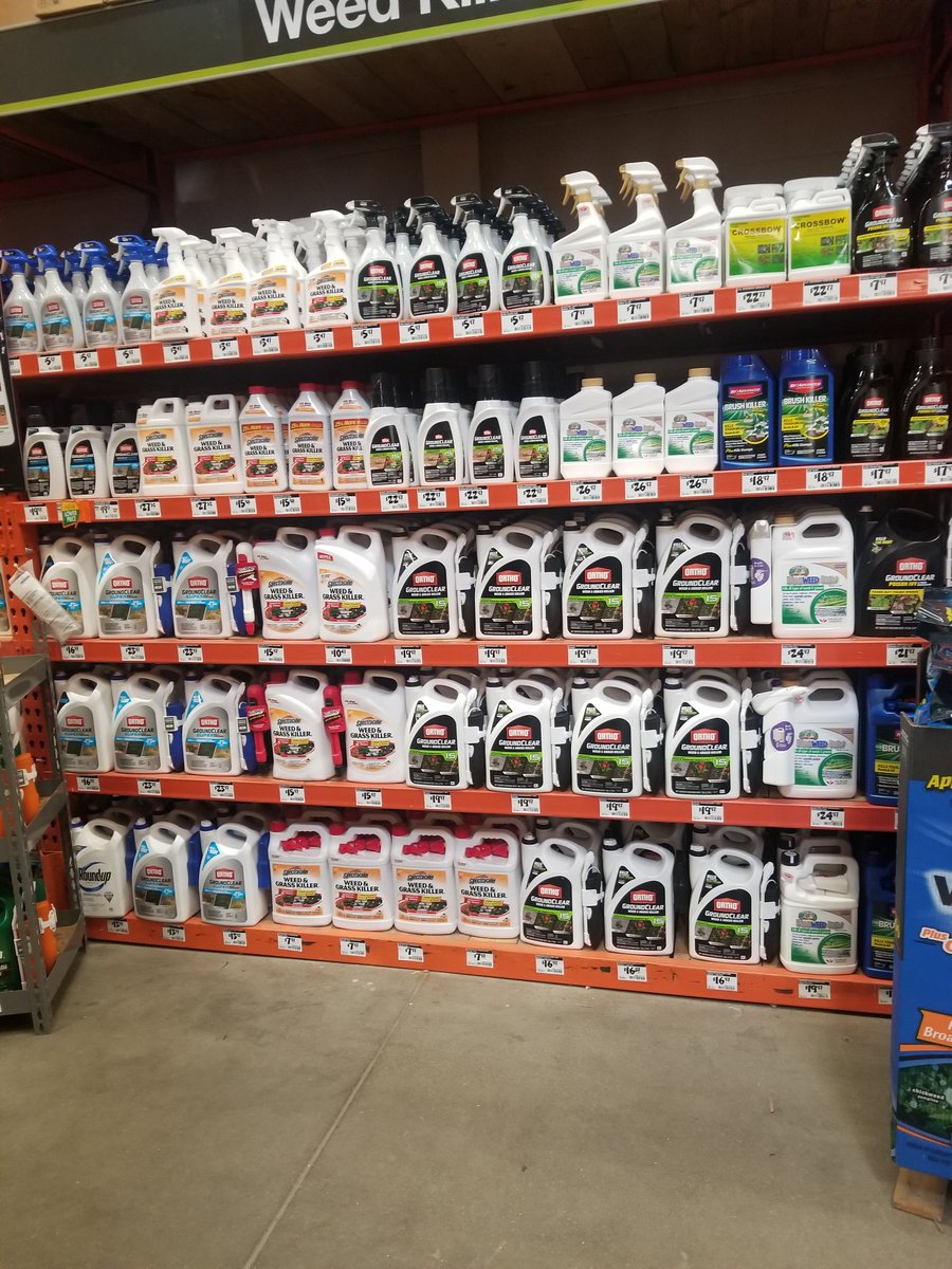 Angie Baragar tweet media