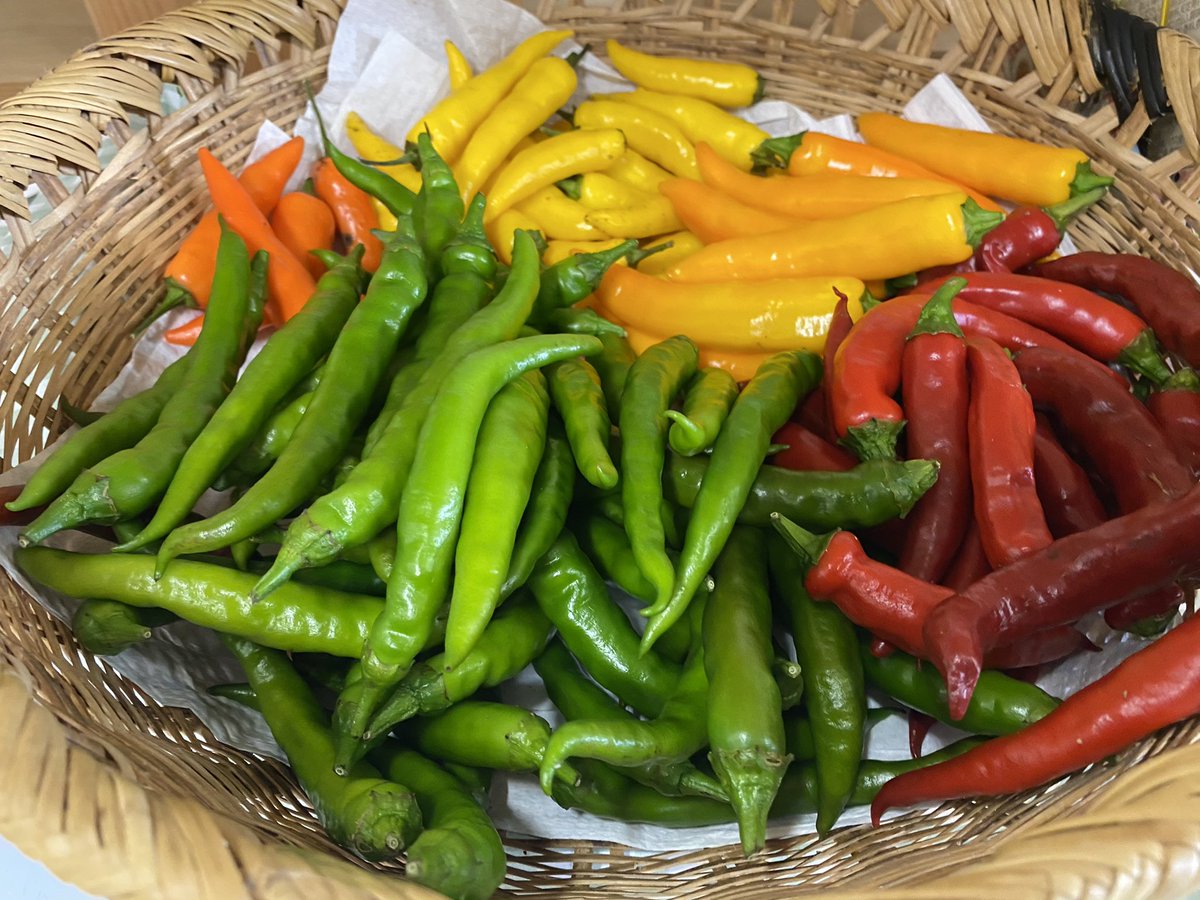 E_code1's tweet image. 岩大生のみなさんに陸前高田のとっておきのおいしいものを味わってほしい。