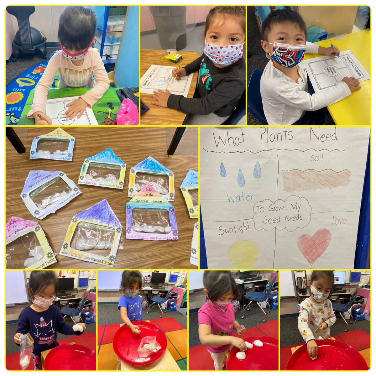 Our preschool students learning about plants. #frybergerwsd #environmentalscience #cagreenribbonschools