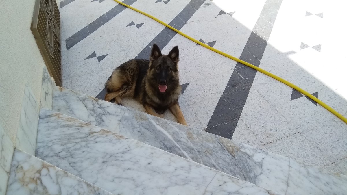 the_hellman's tweet image. my baby enjoying a sunny day &amp;lt;3