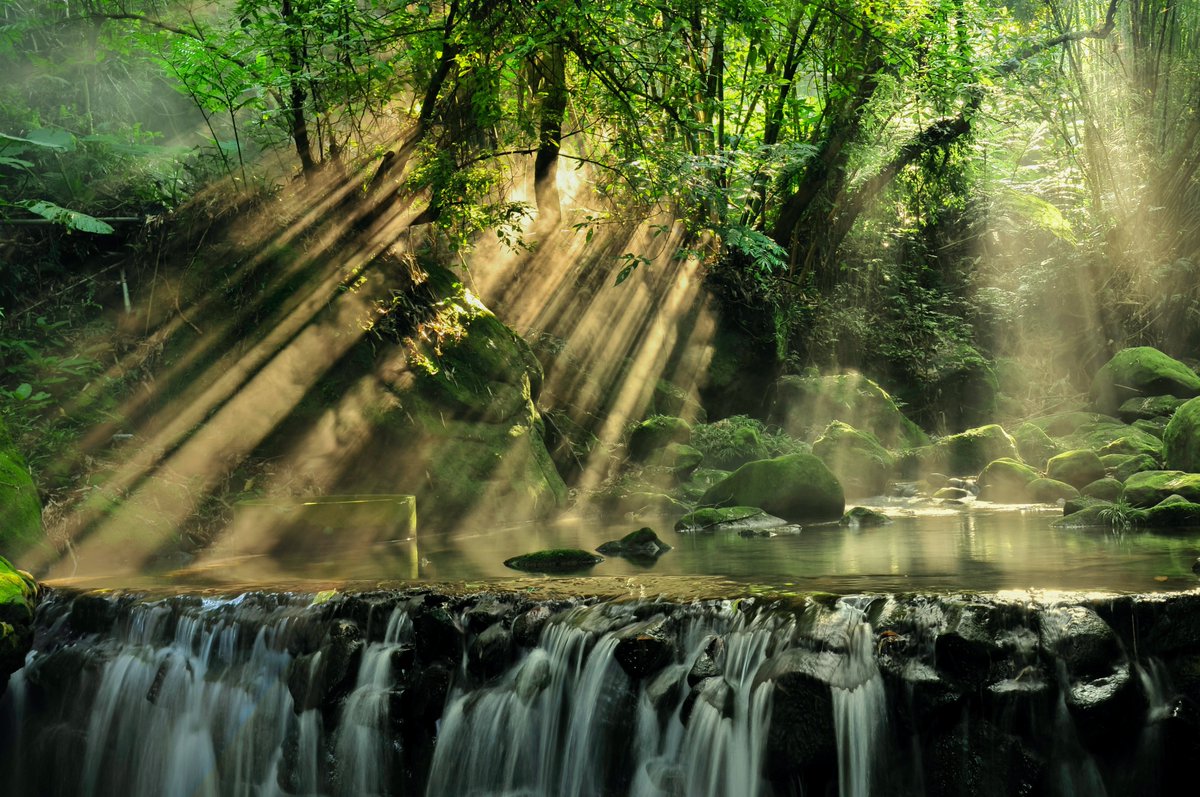 We are so delighted to launch today in colloboration with <a href="/MindCharity/">Mind</a> to evolve, evaluate, and enhance the credibility of nature-based interventions and wellbeing practices in #mentalhealth, #healthpromotion, and ecotourism. Read more here: nadurforesttherapy.com