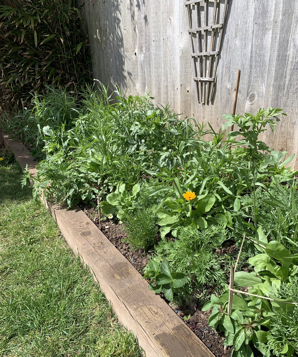 Tom Wilde tweet media