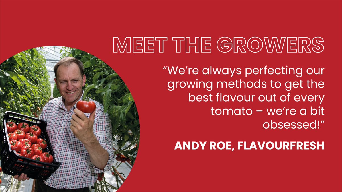 #MeetTheGrowers Andy Roe’s been growing tomatoes from more than 30 years. He oversees the production of 2,700 tonnes of toms annually at Flavourfresh in Southport, where he’s been since the company started in 1997. Find out more about Flavourfresh here: britishtomatoes.co.uk/flavourfresh