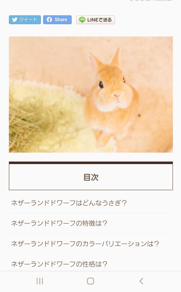 うさぎの絵本 僕が載ってたよう うん たしかに お顔まるいかもね うさぎのこぶくん ネザーランドドワーフ T Co Zam7si8k1c Twitter