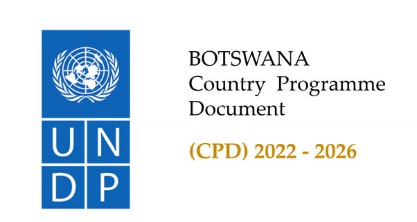 UNDP Botswana tweet media