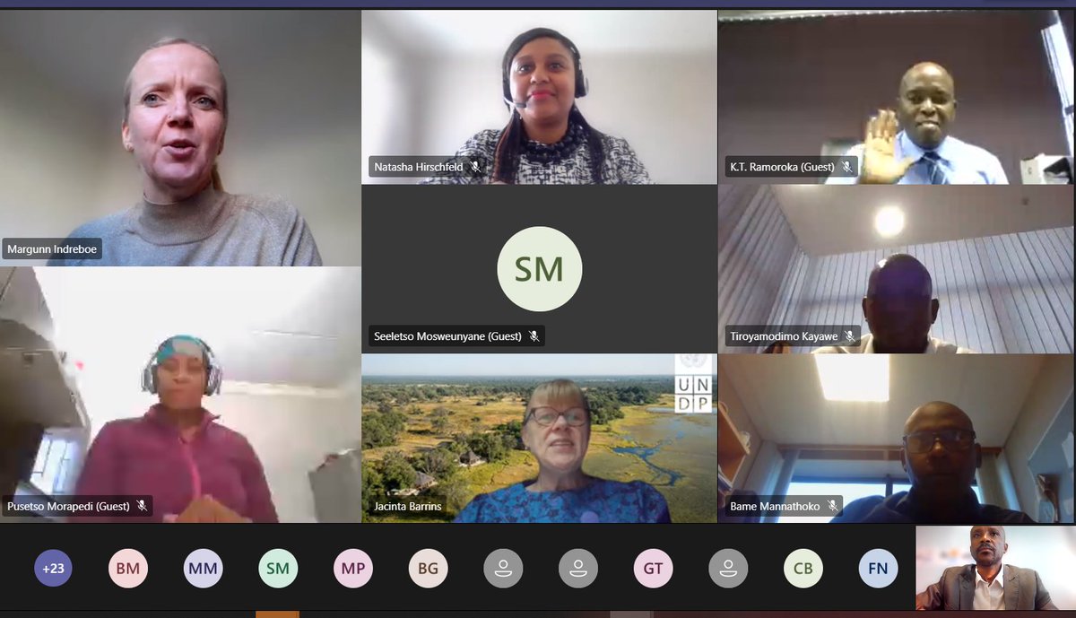 UNDP Botswana tweet media