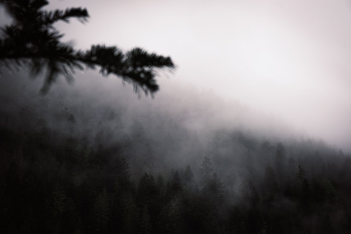 fabienfeub's tweet photo. This morning mood outside our window. https://t.co/quWMewzC81