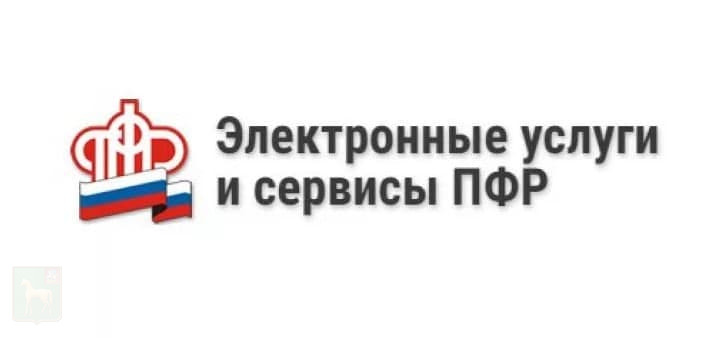 ГУ-УПФР №15 по Москве и Московской области рекомендует гражданам обращаться за услугами Пенсионного фонда в электронном виде через личный кабинет на сайте ПФР или на портале госуслуг.
#нашеподмосковье #бронницы #пфр #электронныеуслуги #будьвкурсе