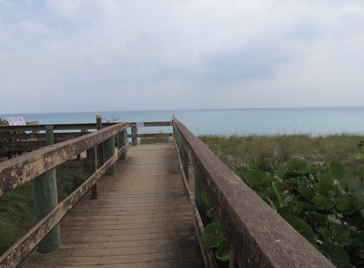 KurtzShar's tweet photo. Itβs Sea Turtle nesting season #ArchieCarrNationalWildliferefuge on the #spacecoast is home to the densest nesting ground for Loggerhead sea turtles in the world. @visitspacecoast #barrierislandsanctuary #traveltuesday #ifwtwa #floridaseaturtles #floridaexplore #llovefla #Florida https://t.co/ADXIBozKpr