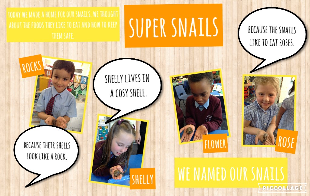 Today in EYFS we made homes for our snails and named them🐌.
#StBarts