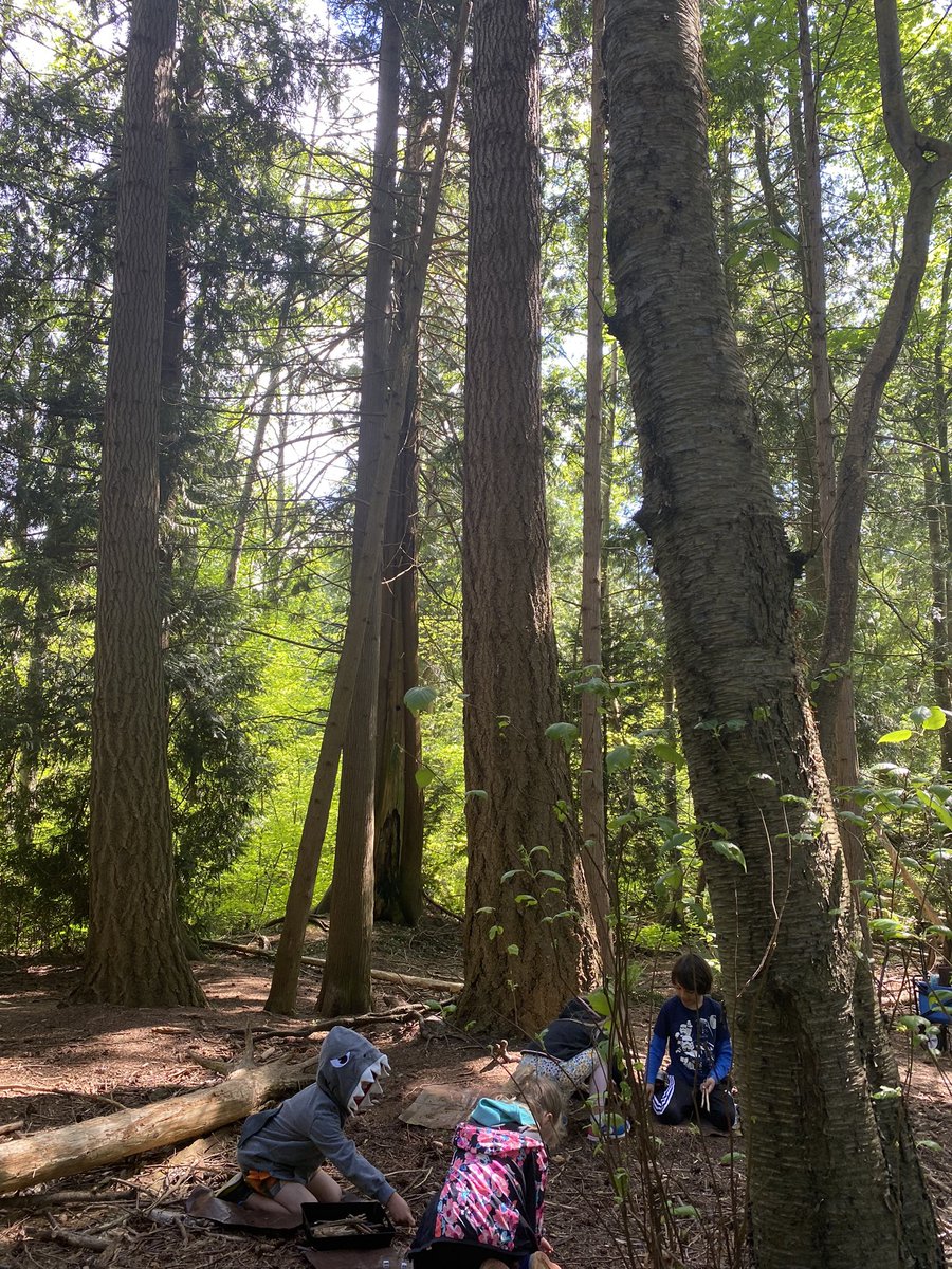 ellen_petersson's tweet photo. M O N D A Y #numeracy #outdoorclassroom #addingon #sticksanddice #sd36 #rayshepherd https://t.co/zUcm87OB0y