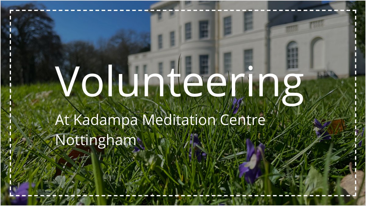 KMC_Nottingham's tweet image. All about Volunteering if you'd like to help us please click on the link and fill in a volunteering form forms.gle/eCv7f3cVR2ovcS…