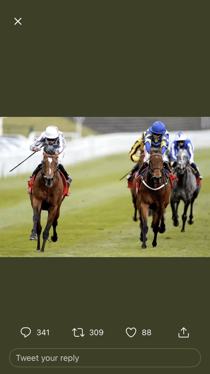 jules_clapham's tweet photo. @AtTheRaces @ChesterRaces https://t.co/WHrvuEOUxY