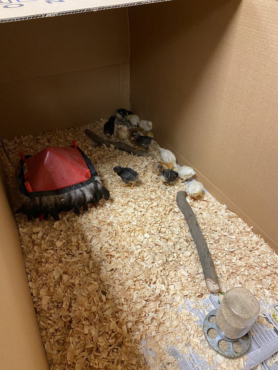 Mindy Logan tweet media